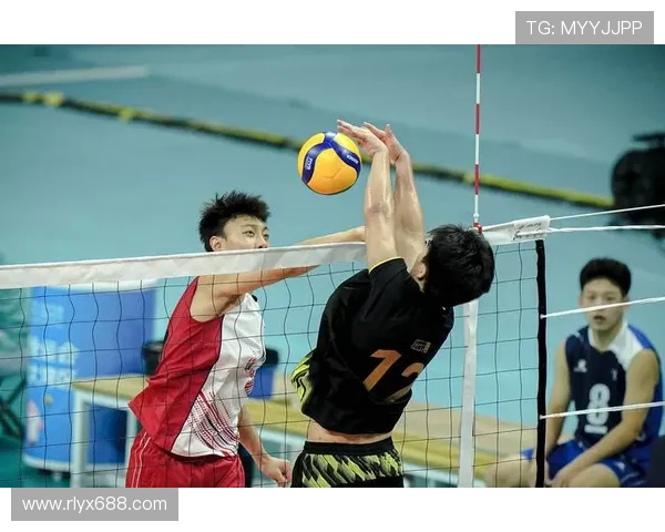 重庆排球队逆袭之路揭秘洲际杯背后的奋斗与荣耀