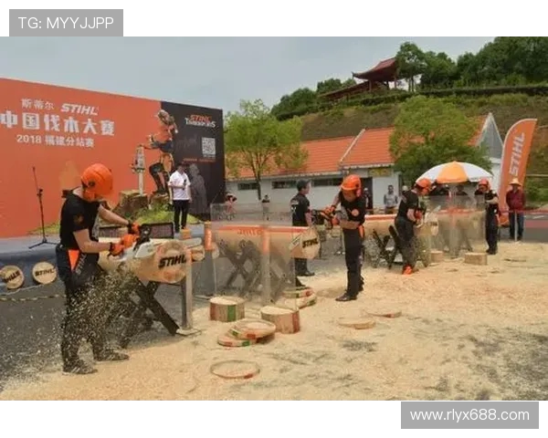 武汉极限运动队如何通过阵地战革新提升竞技水平与团队凝聚力